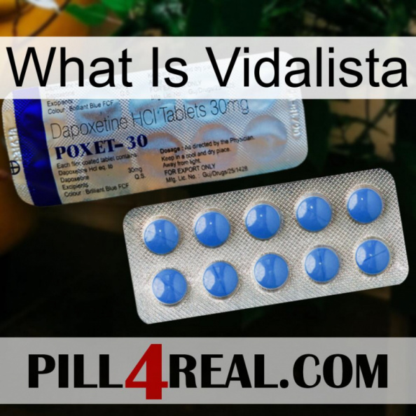 What Is Vidalista 39.jpg